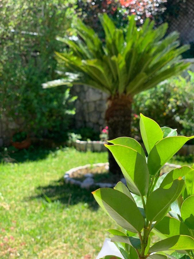 Villa Theosis Nikiana Bagian luar foto